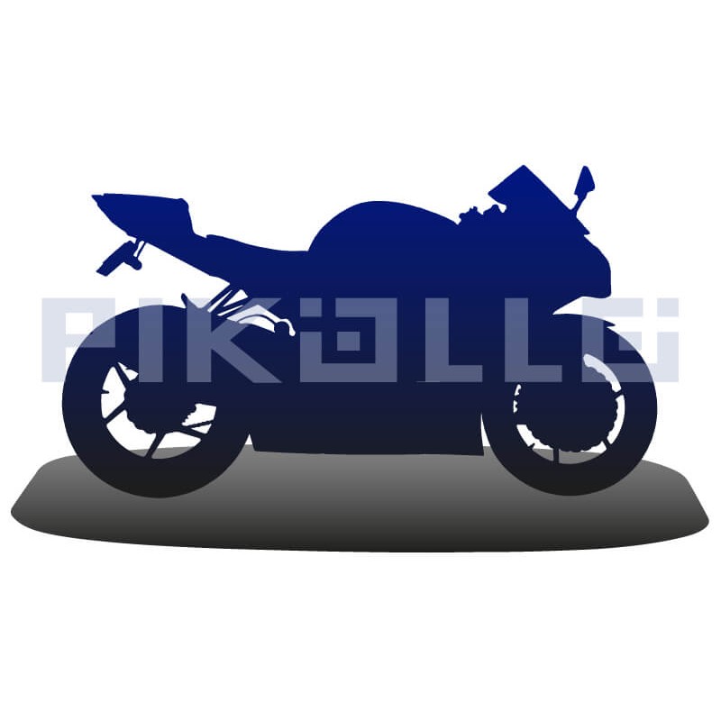 "Full custom motorbike"
